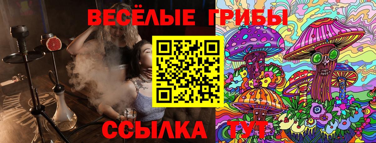 Ростов Великий  Псилоцибиновые грибы мицелий  Вход с VPN 
